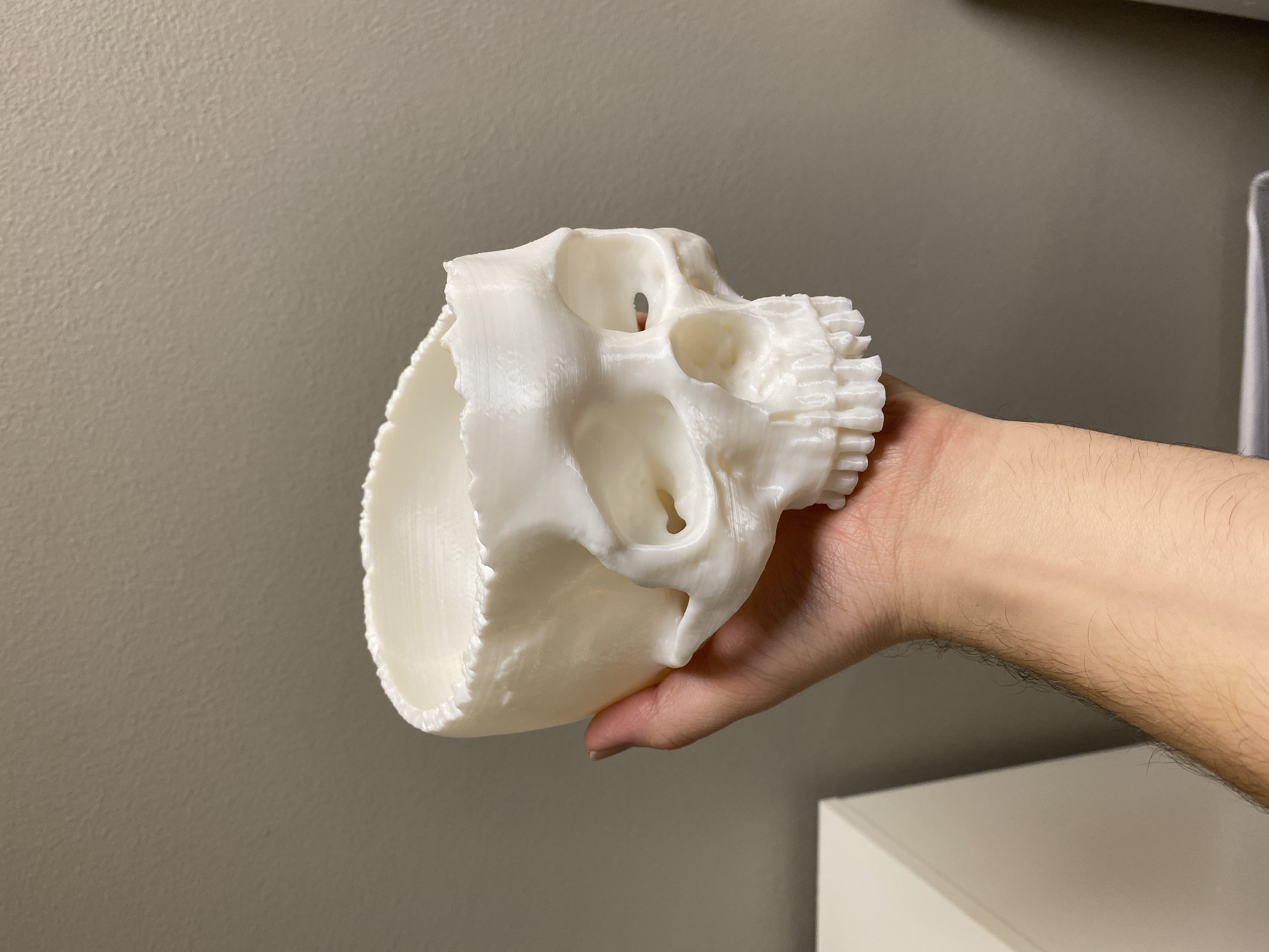 Реалистичная чаша-череп для Хэллоуина